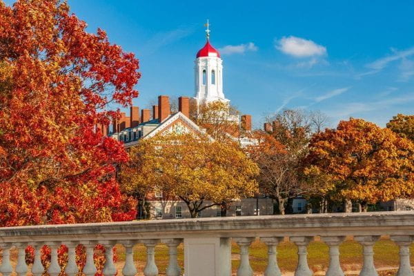 Harvard campus in the fall.