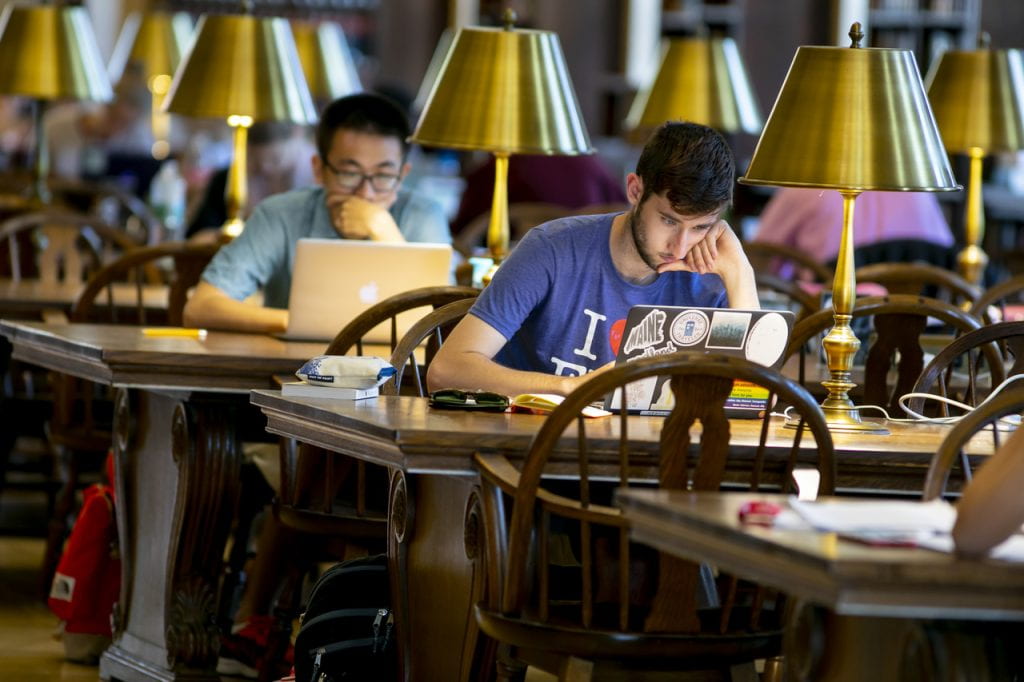 A student looks at a laptop in the library.